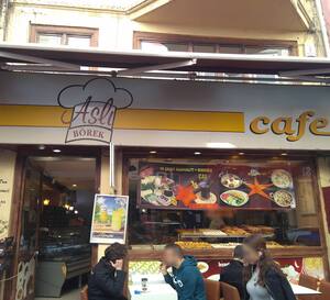 Asli Borek Gokturk